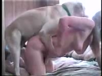 Amateur teen getting fucked from behind by dog
